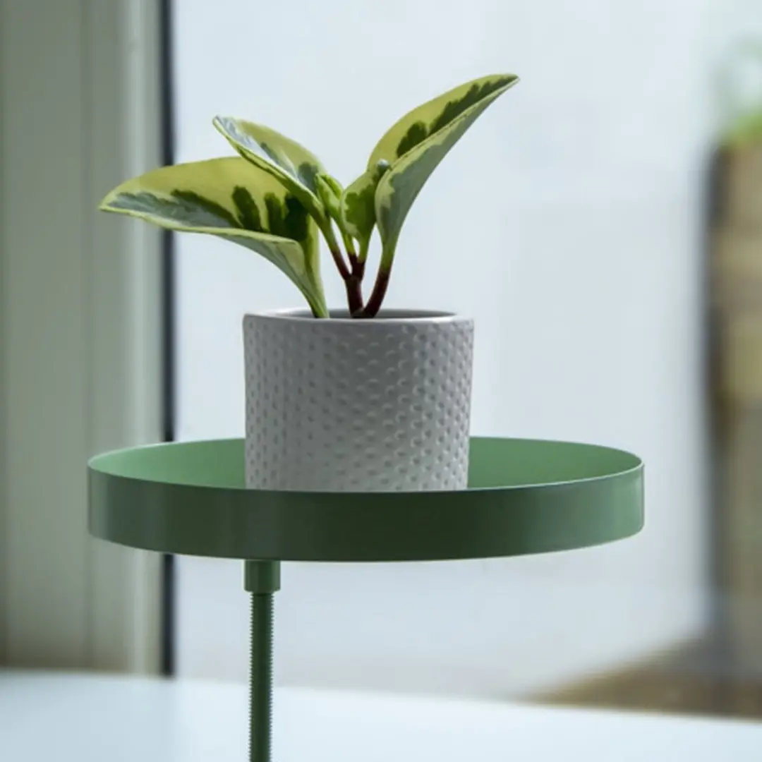 Esschert Design Plantenblad met klem M - Groen - afbeelding 2 van 6