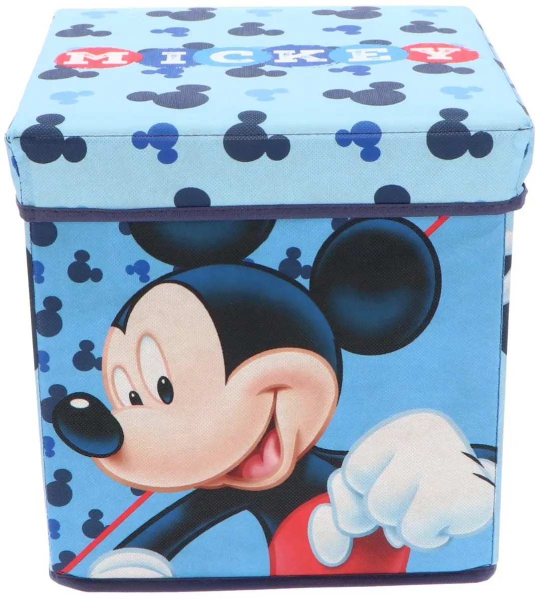 Pokémon Mickey Mouse Opbergdoos 3L - Blauw