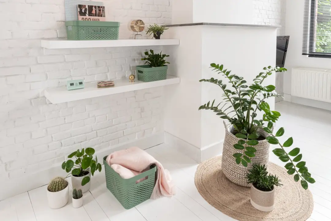 Curver Infinity Recycled Dots Opbergbox 11L - Groen