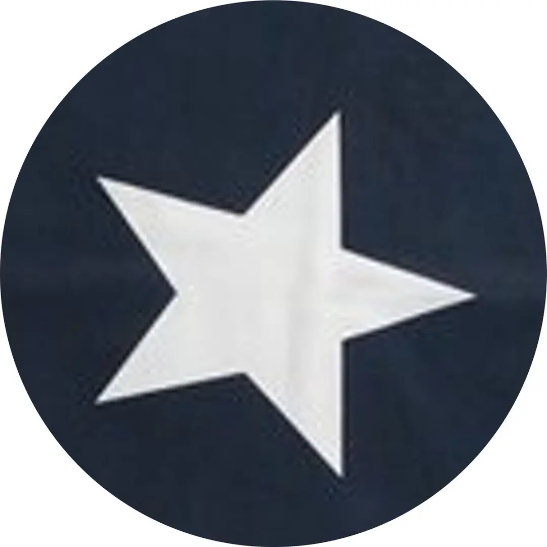 DDDDD Étoile Tafelloper 50x150cm - Blauw - 2 Stuks
