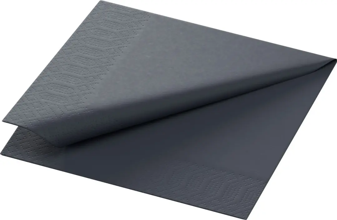 Duni Servetten 2-laags 24x24cm