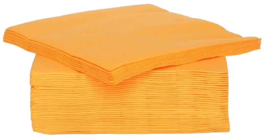 Cosy&Trendy For Professionals Servet Papier 25cm Oranje - 40 Stuks