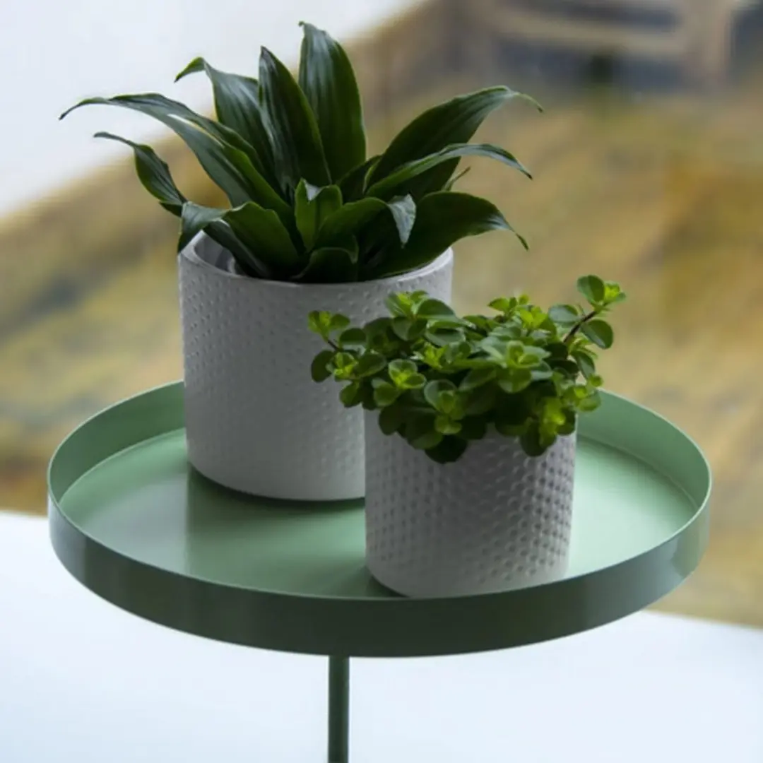 Esschert Design Plantenblad Klem Groen L