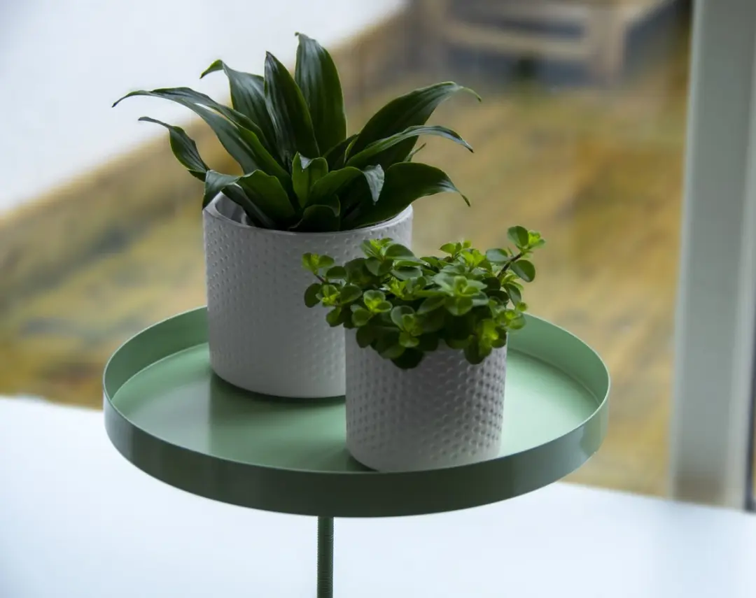 Esschert Design Plantenblad Klem Groen L