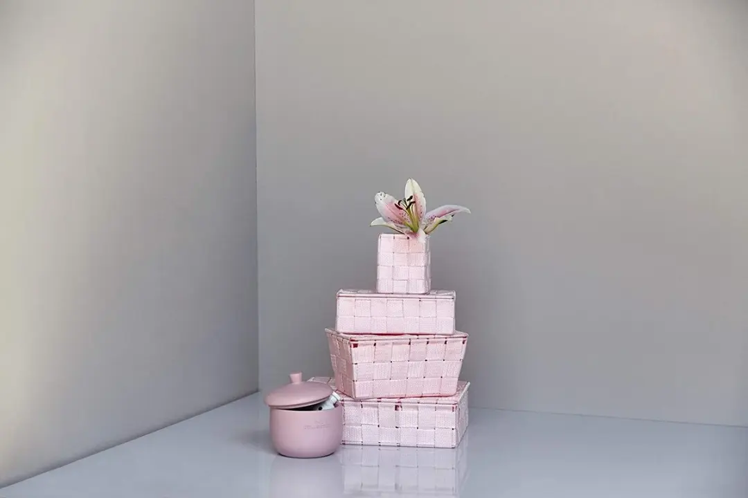 Wenko Adria Pink Opbergdoos met deksel - 10L - 4 vakken