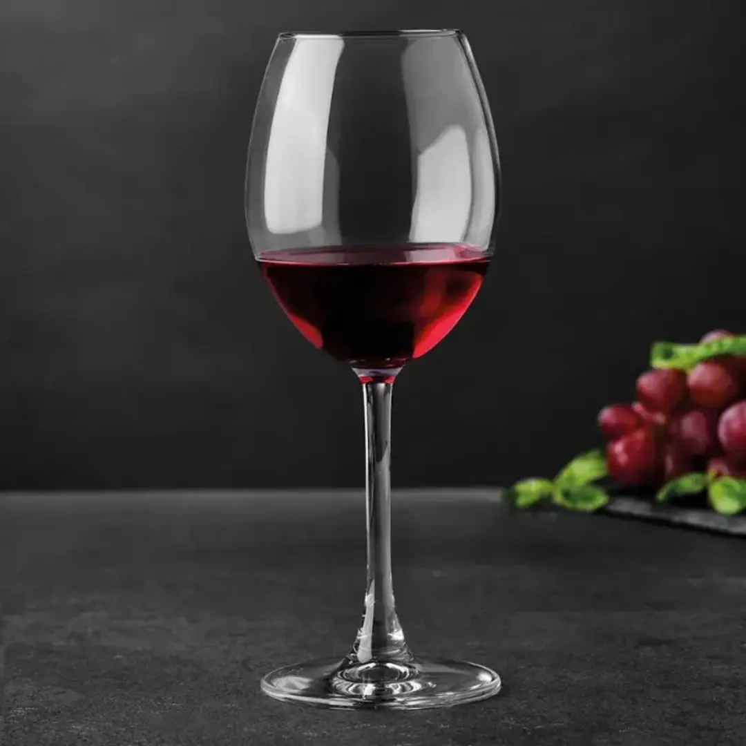 Pasabahce Enoteca Wijnglazen 440ml - Set van 2