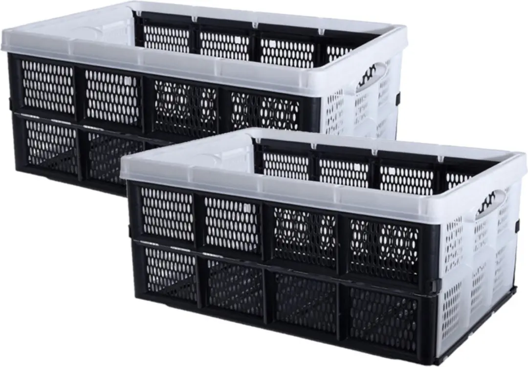 Excellent Houseware Inklapbare Boodschappenkrat - 2 Stuks - Multi