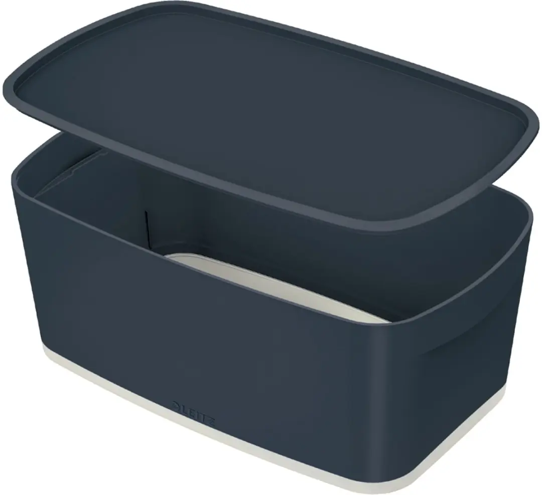 Leitz MyBox Opbergdoos 5L - Blauw