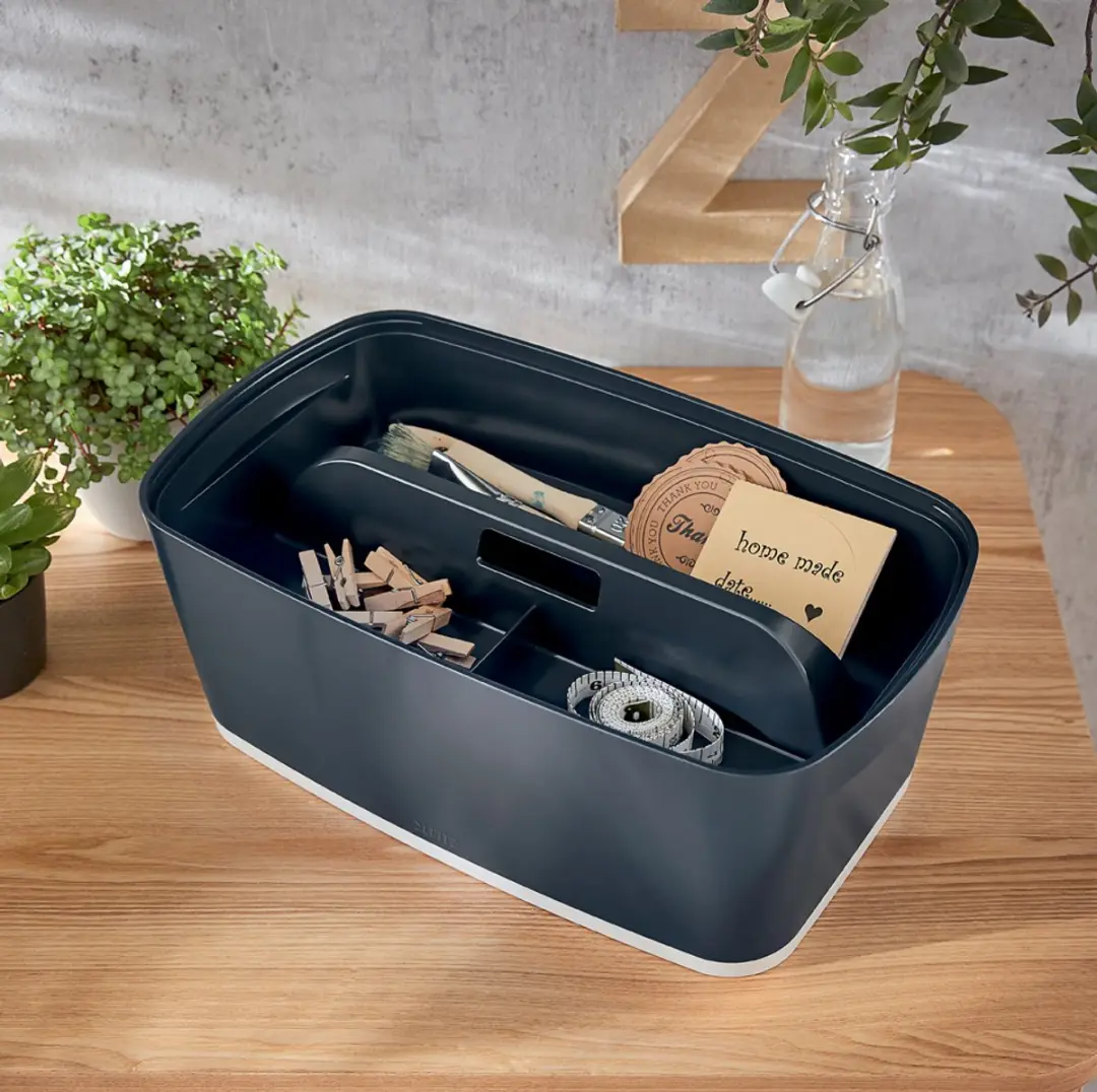 Leitz MyBox Opbergdoos 5L - Blauw