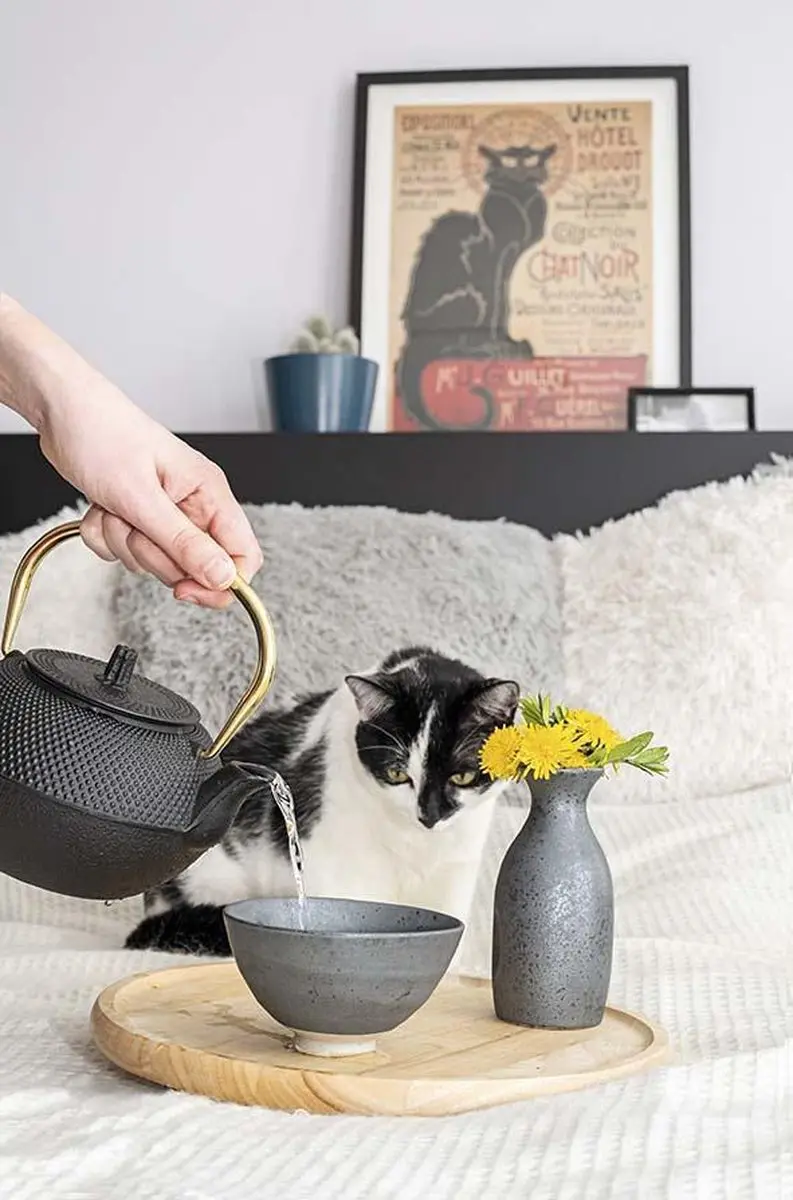 Cosy&Trendy Lazy Susan Draaischotel - Ø30cm - Houtkleur