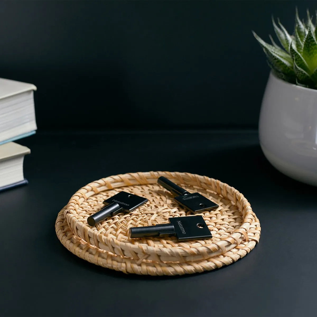 Netatmo Elektrisch deurslot - Slimme Sleutels - 3 sleutels - NFC-sleutel - Silver