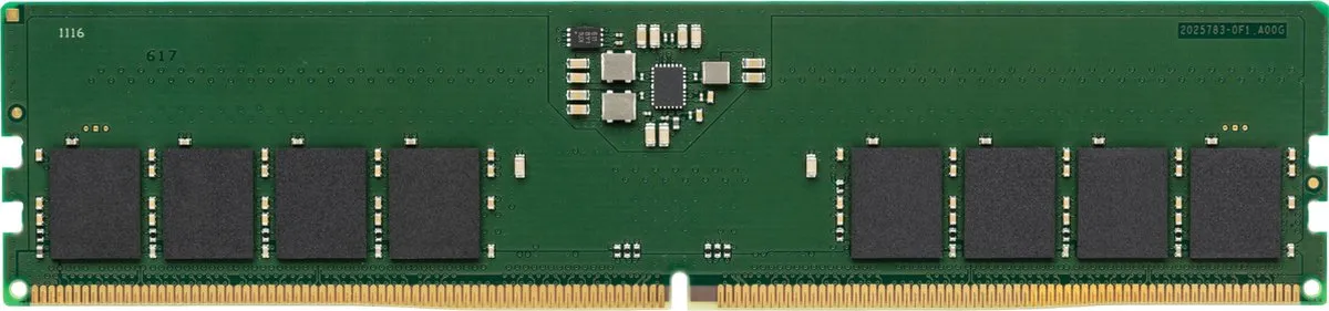Kingston KCP556US8-16 DDR5 Geheugenmodule 16GB