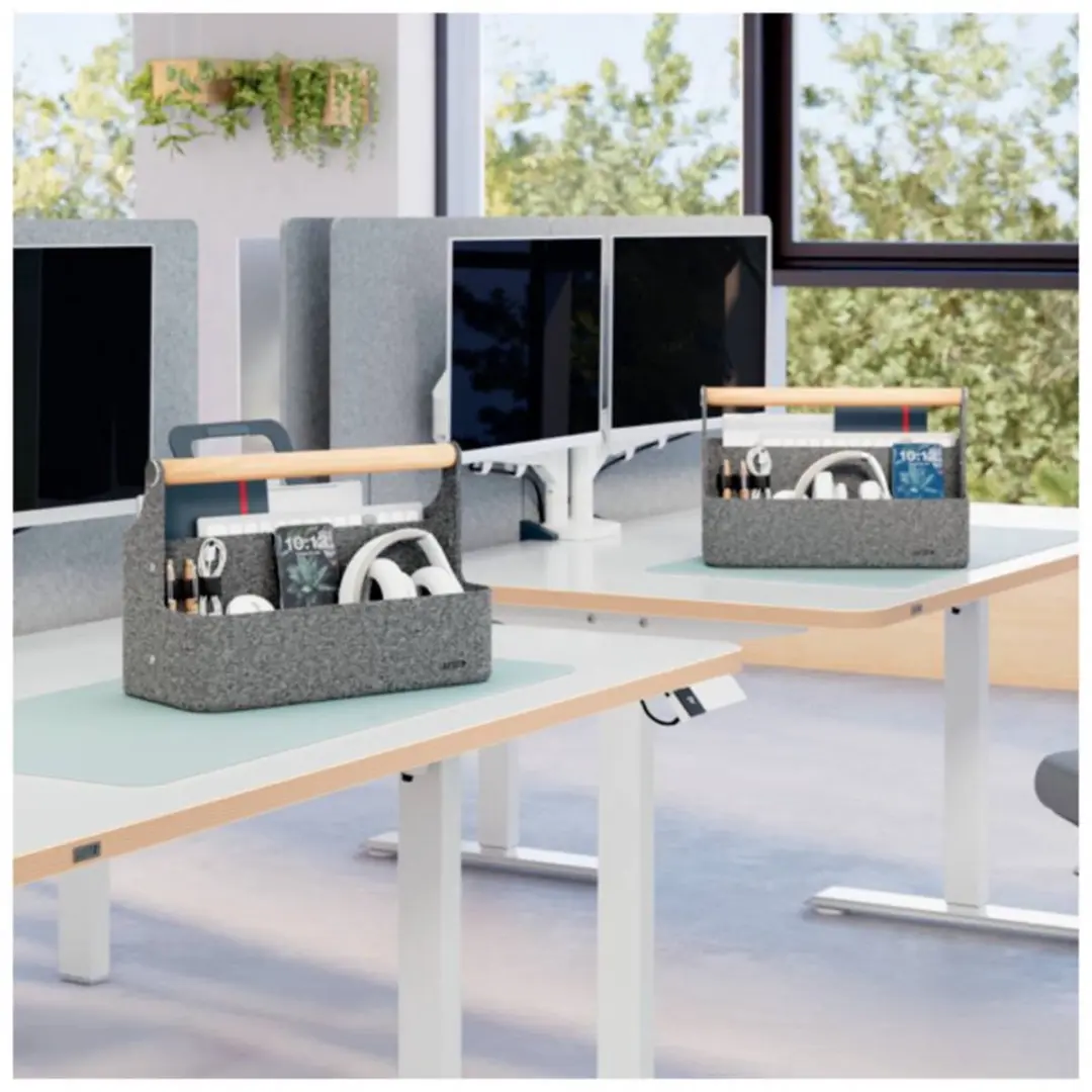 Leitz Draagbare Bureau Organizer Grijs - 2 Vakken