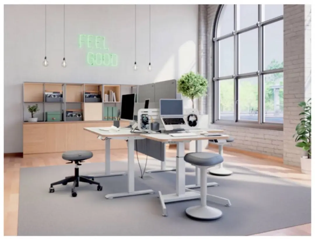 Leitz Draagbare Bureau Organizer Grijs - 2 Vakken