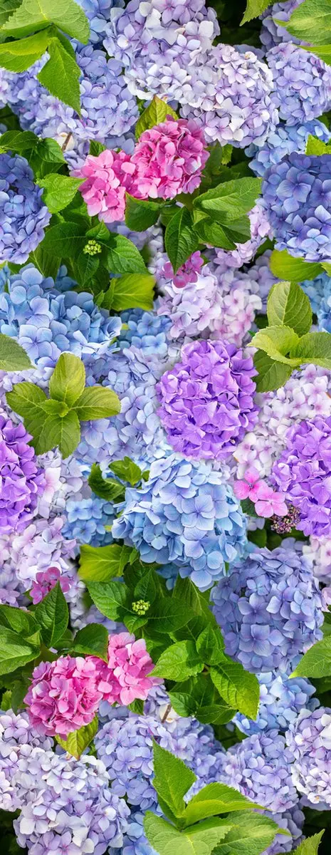 Tafellaken-Tafelkleed- Hortensia 140x250 cm