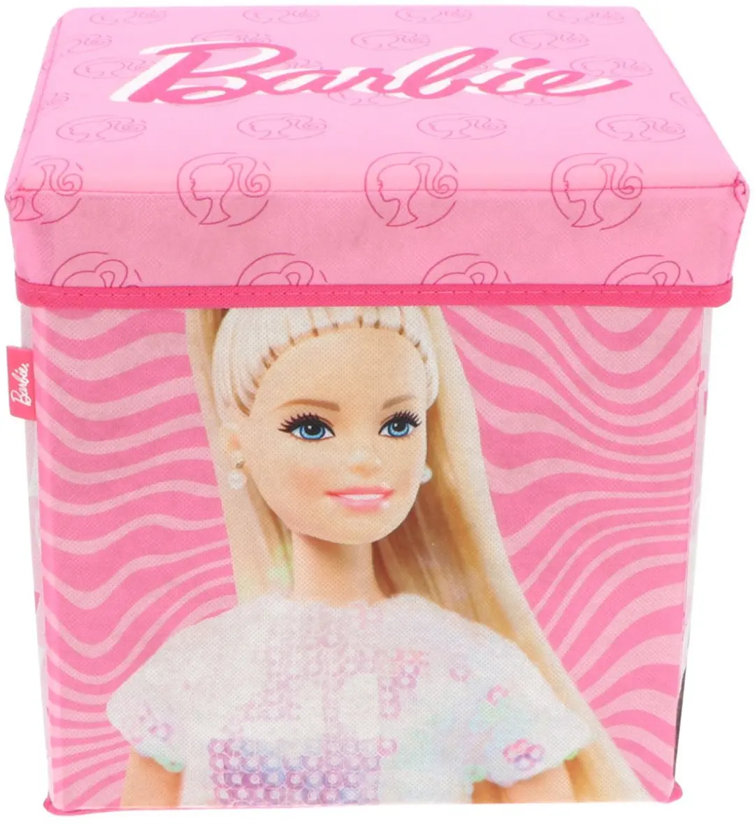 Pokémon Barbie Opbergdoos Roze - 30 cm