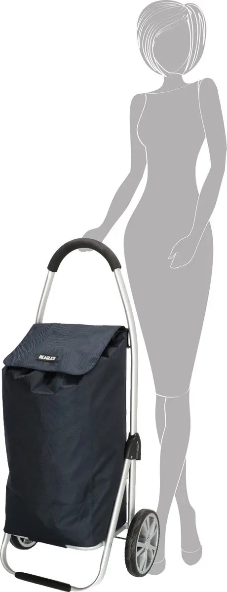 Beagles Alberic Boodschappentrolley 15841A002 - Blauw