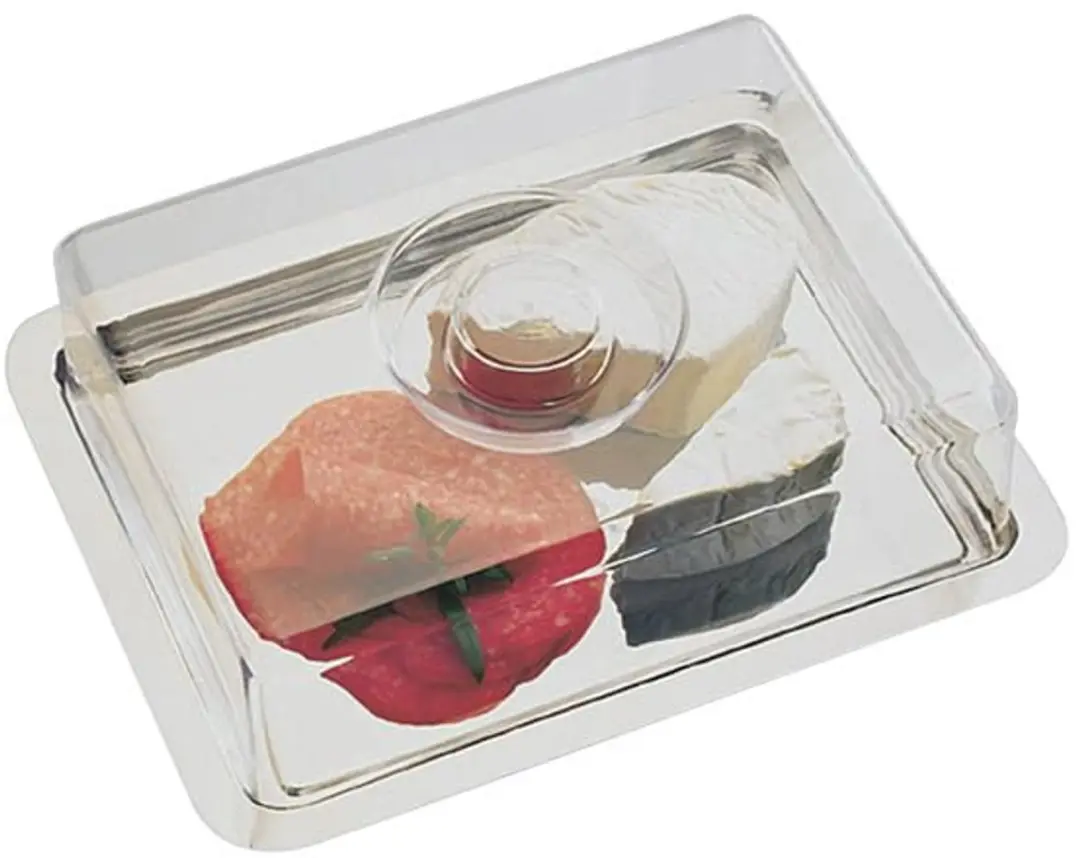 APS 67 Roestvrijstalen Dienblad - 25x19x7cm - Zilver