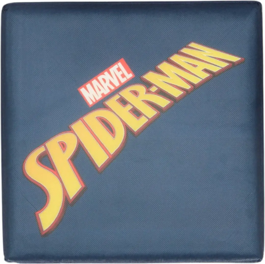 Pokémon Spiderman Opbergdoos - Stoel 30cm - Blauw