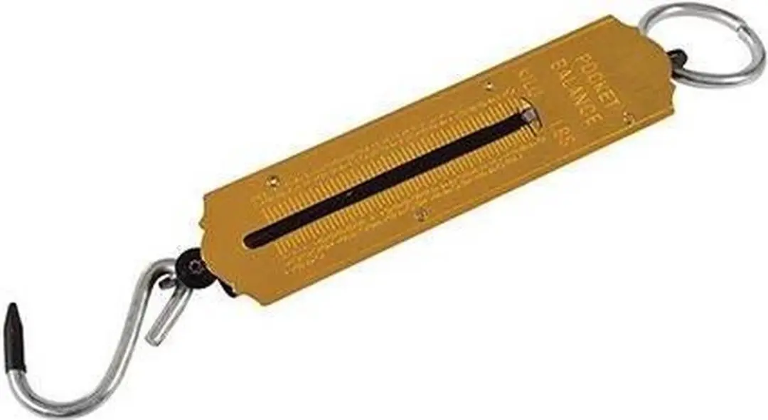 Silverline Traditionele Veerweegschaal 25kg - Goudkleurig