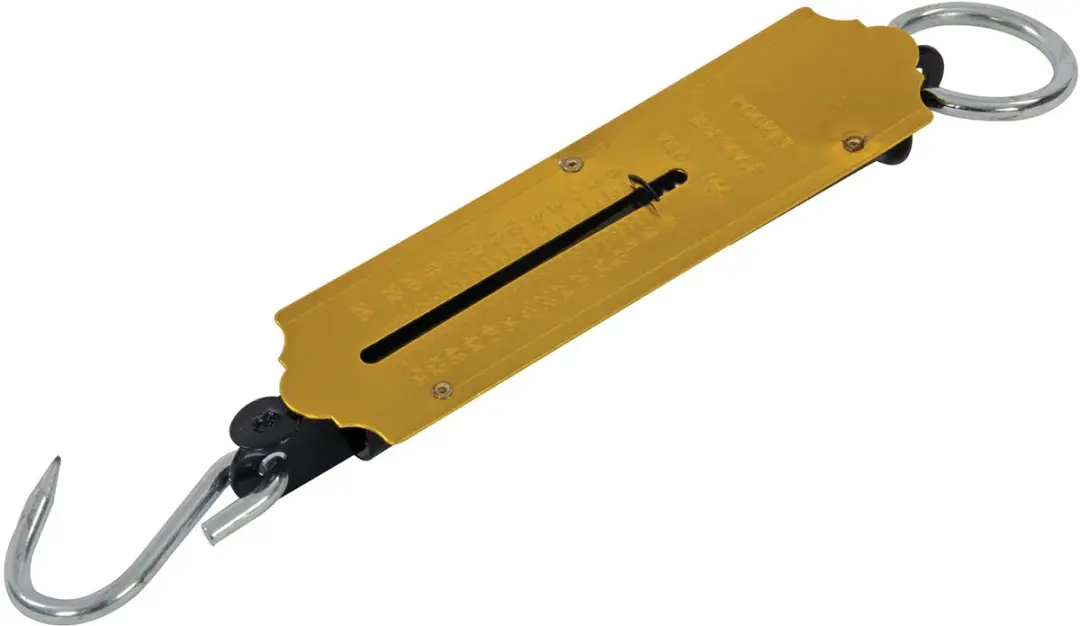 Silverline Traditionele Veerweegschaal 25kg