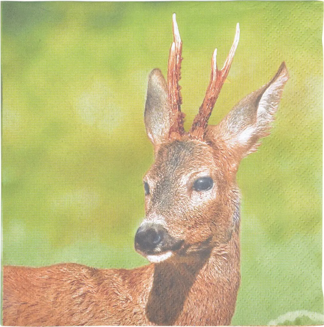 Esschert Design Papieren Servetten Ree 33x33cm