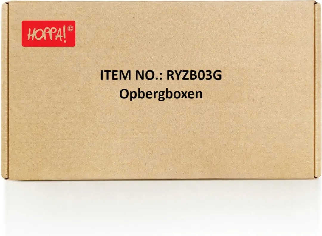 Songmics Opbergboxen RYZB03G - 3 Stuks 5L Grijs