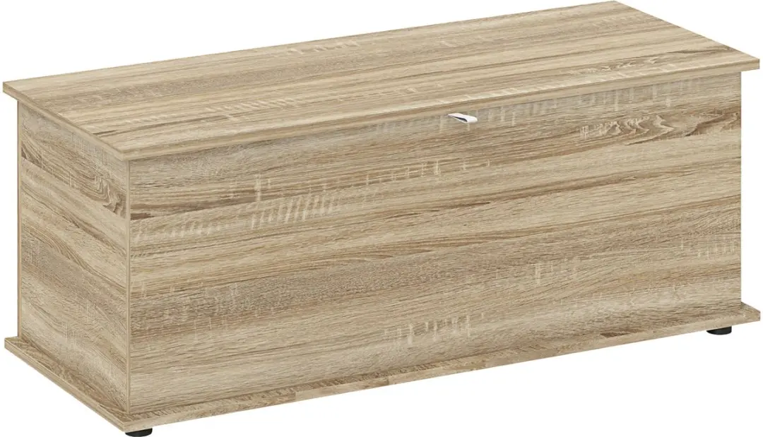 Homcom Opbergkist 100x40x40cm Natuurlijk hout