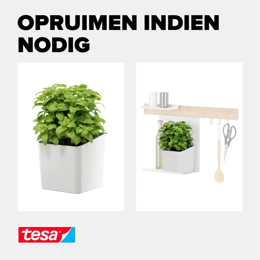 Tesa Kruidenpot Set Wit 13,5x14,5x13,5cm - afbeelding 6 van 6
