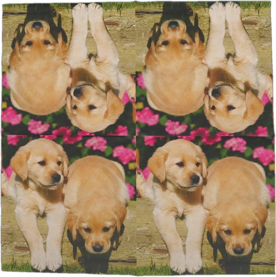 Esschert Design Lunch Servetten Puppy's 33x33cm - 20 Stuks