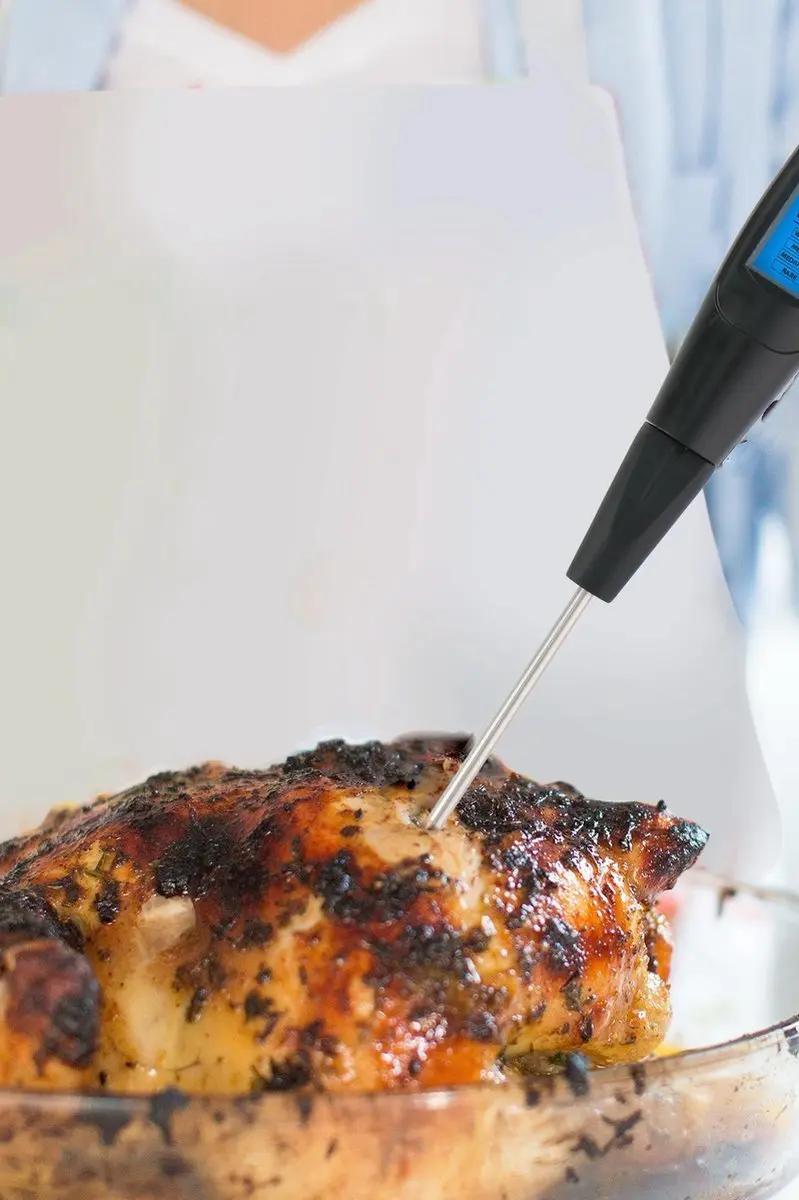 Alpina BBQ Thermometer - Zwart RVS - met vleesvork
