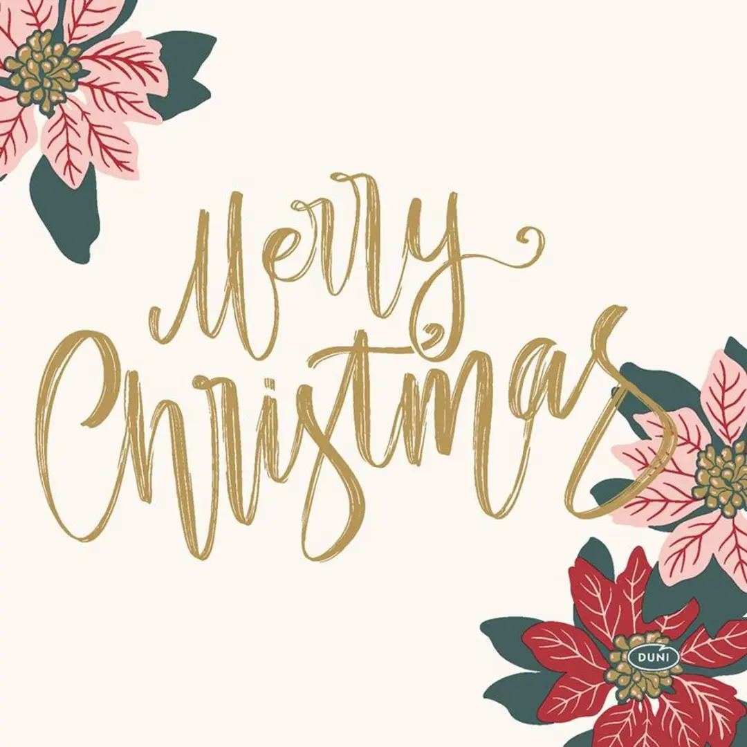 Duni Merry Xmas Berries Servetten 33x33cm