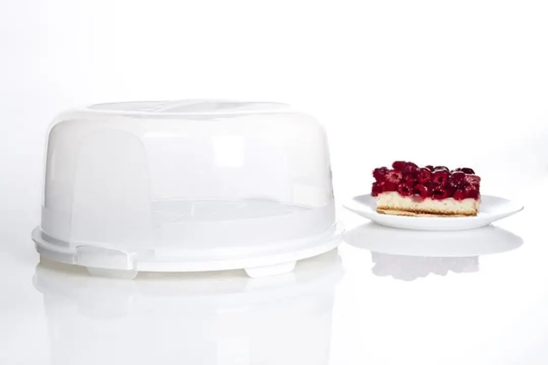 Rotho Fresh Taartdoos 35,5x16,5cm - Wit/Transparant