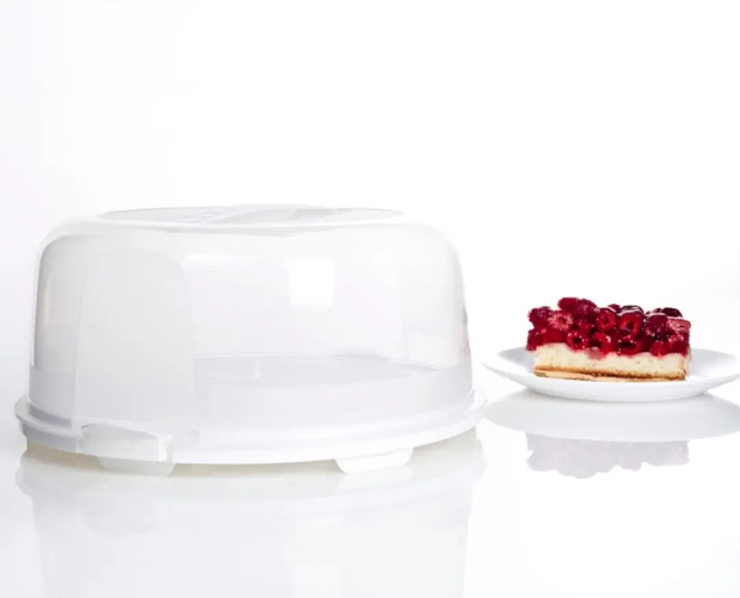 Rotho Fresh Taartdoos 35,5x16,5cm - Wit/Transparant