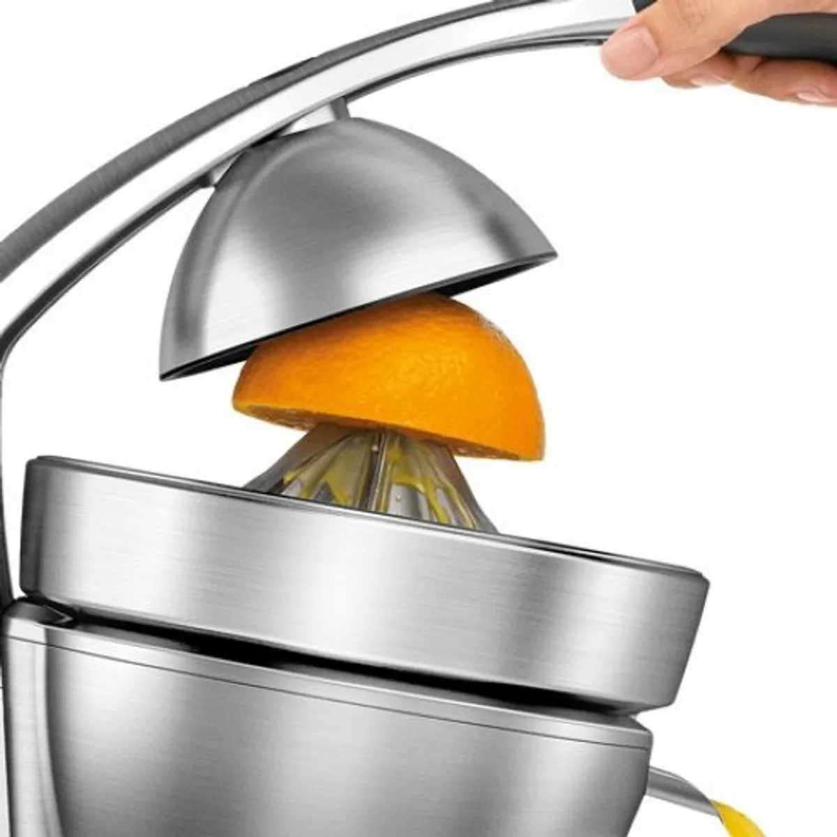 Sage the Citrus Press Pro SCP800BAL4EEU1 - 110W - Roestvrij staal