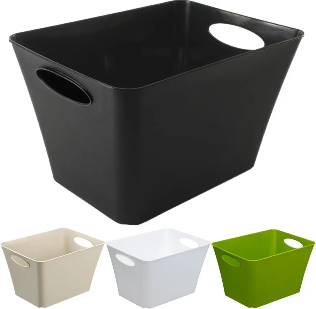 Rotho Living Opbergbox 24L
