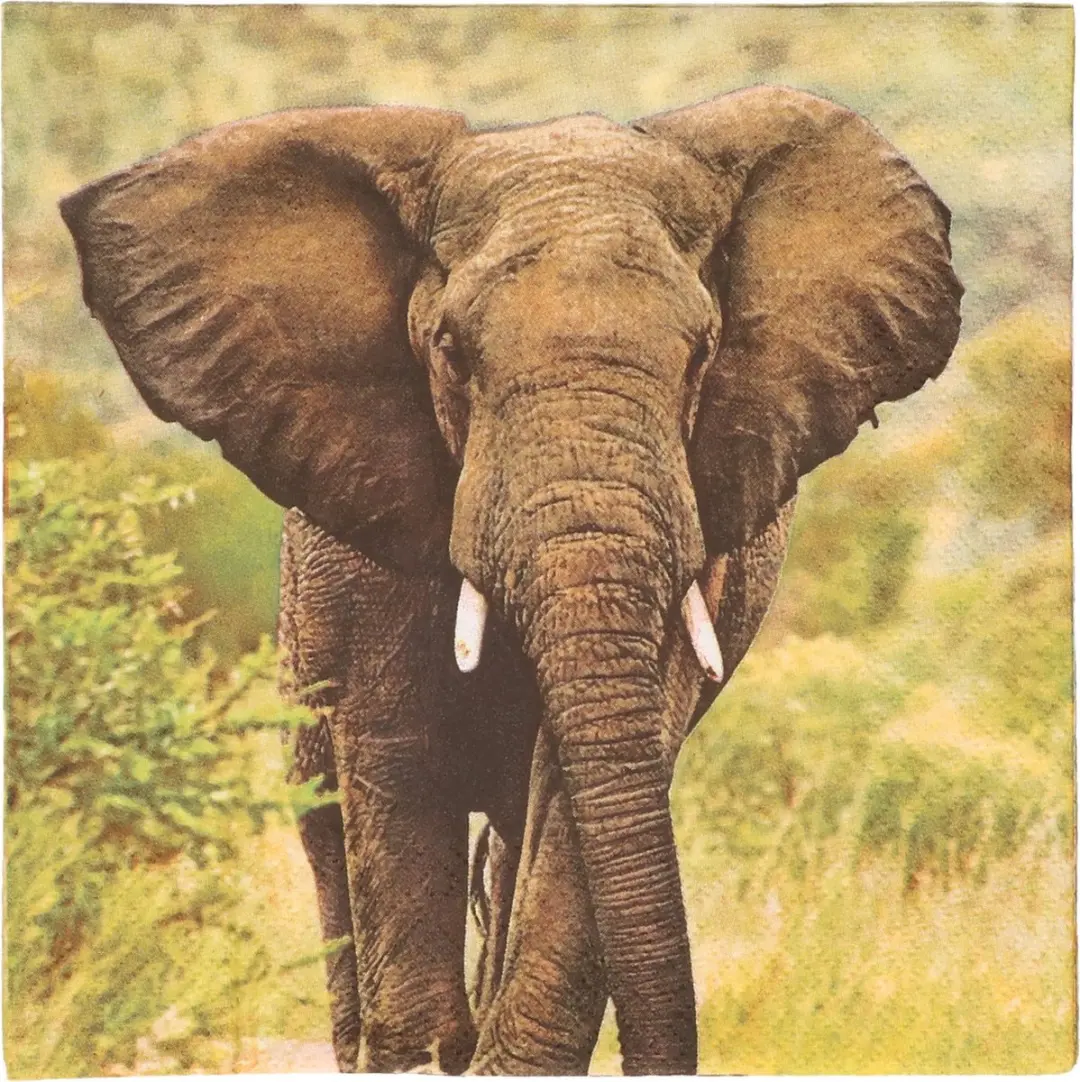 Esschert Design Olifant Wegwerpservetten 40 Stuks