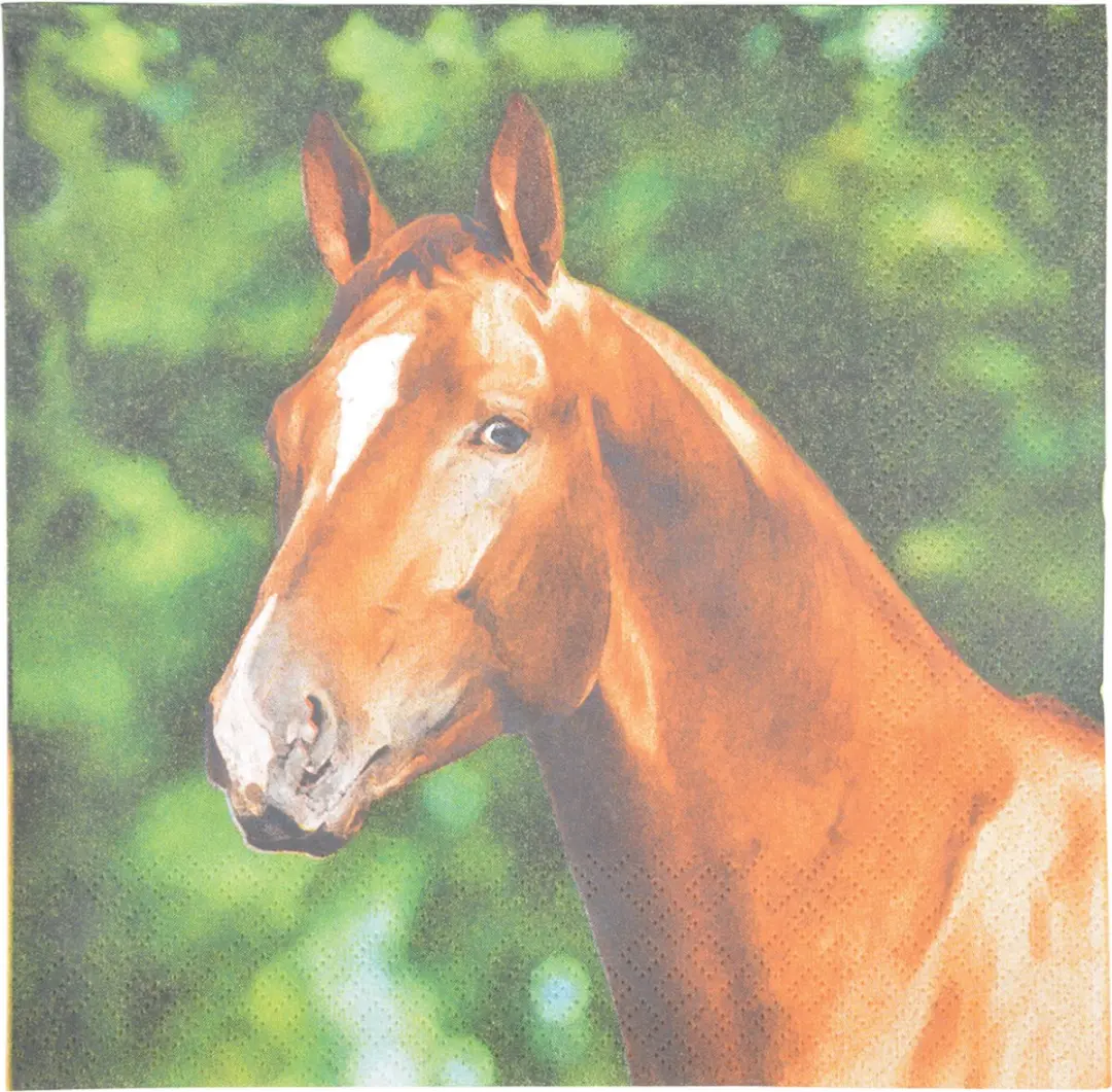 Esschert Design Papieren Servetten Paard 33x33cm - 40 Stuks