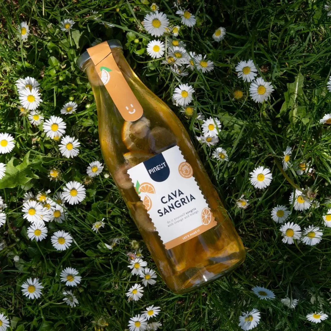 Pineut Cava Sangria Cocktailpakket 900ml - DIY Set - Geel/Orange