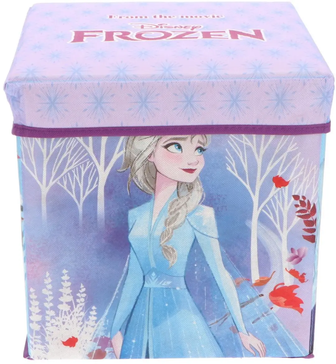 Pokémon Frozen Opbergdoos - Stoel 30cm - Paars