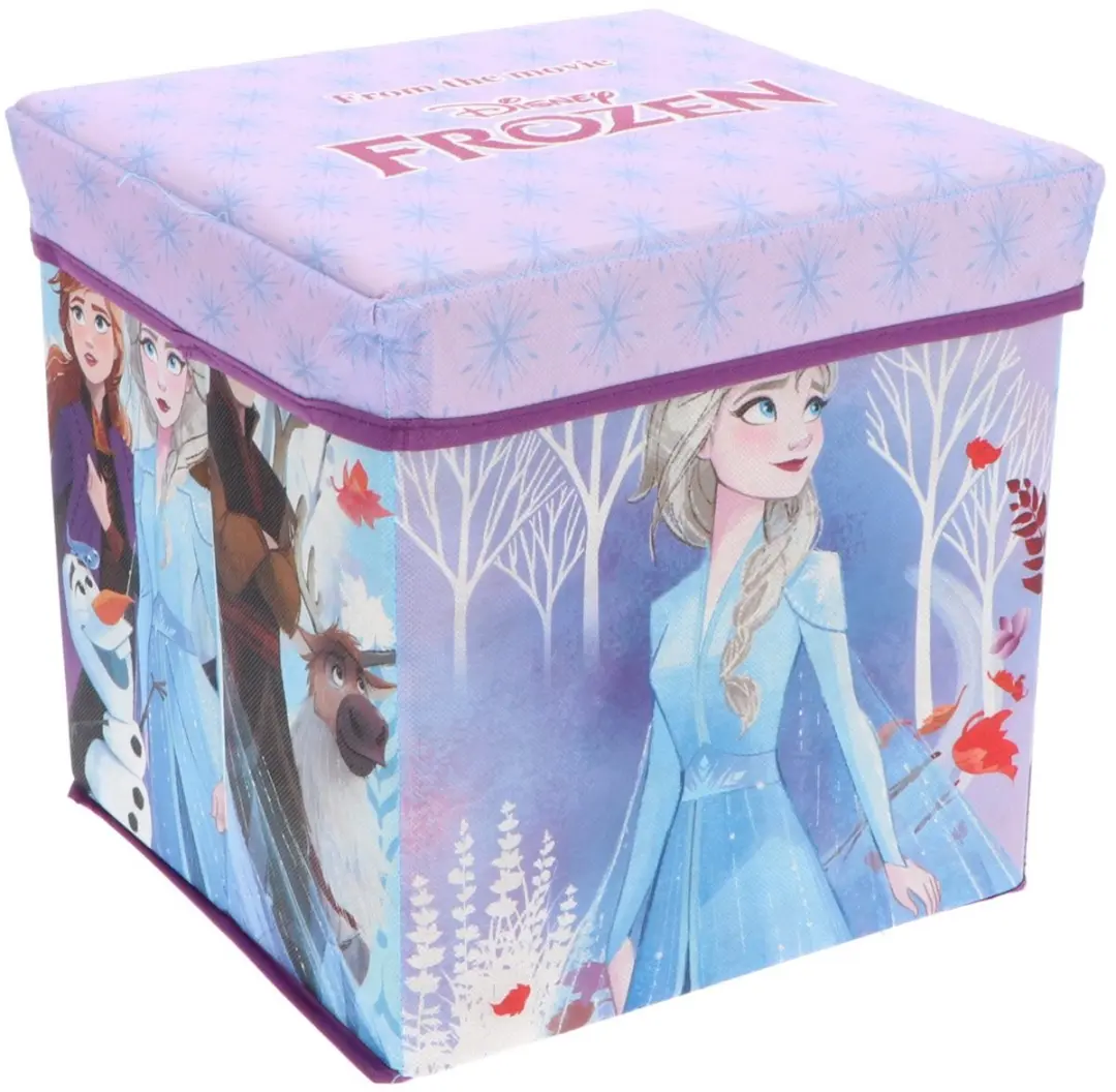 Pokémon Frozen Opbergdoos