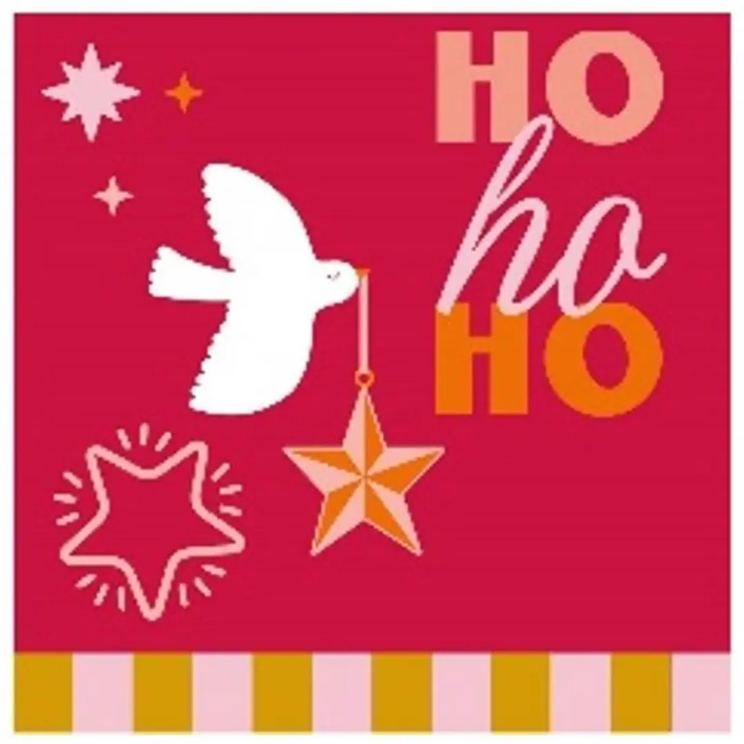 Duni Kerst Papieren Servetten 33x33cm