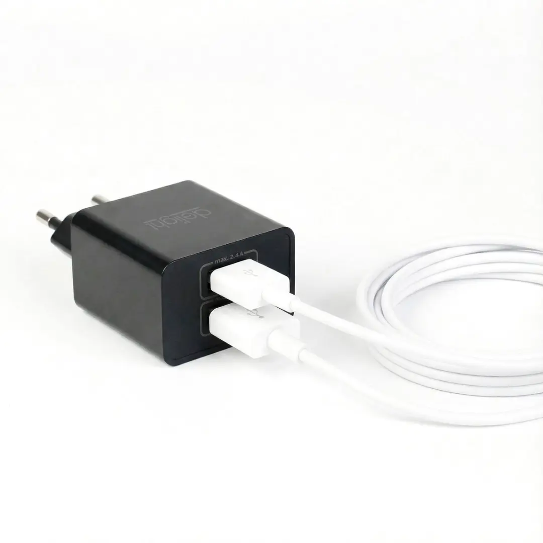 Delight Oplaadblok USB-A 5V 2,4A - 2x USB-A - Zwart - afbeelding 4 van 4