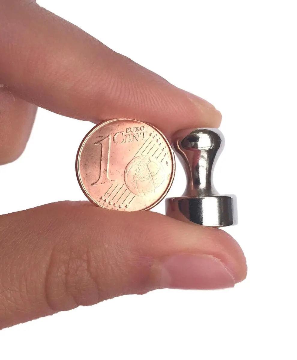 Kortpack Push Pin Magneetjes 12mm x 16mm - 12 Stuks - Vernikkeld Roestvrij Staal