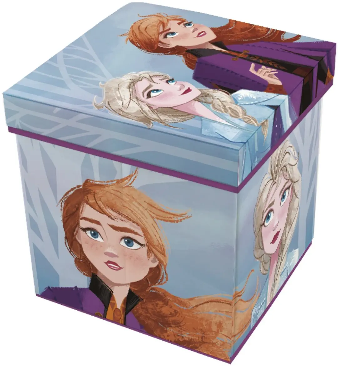 Disney Frozen 2 Opbergbox 22L