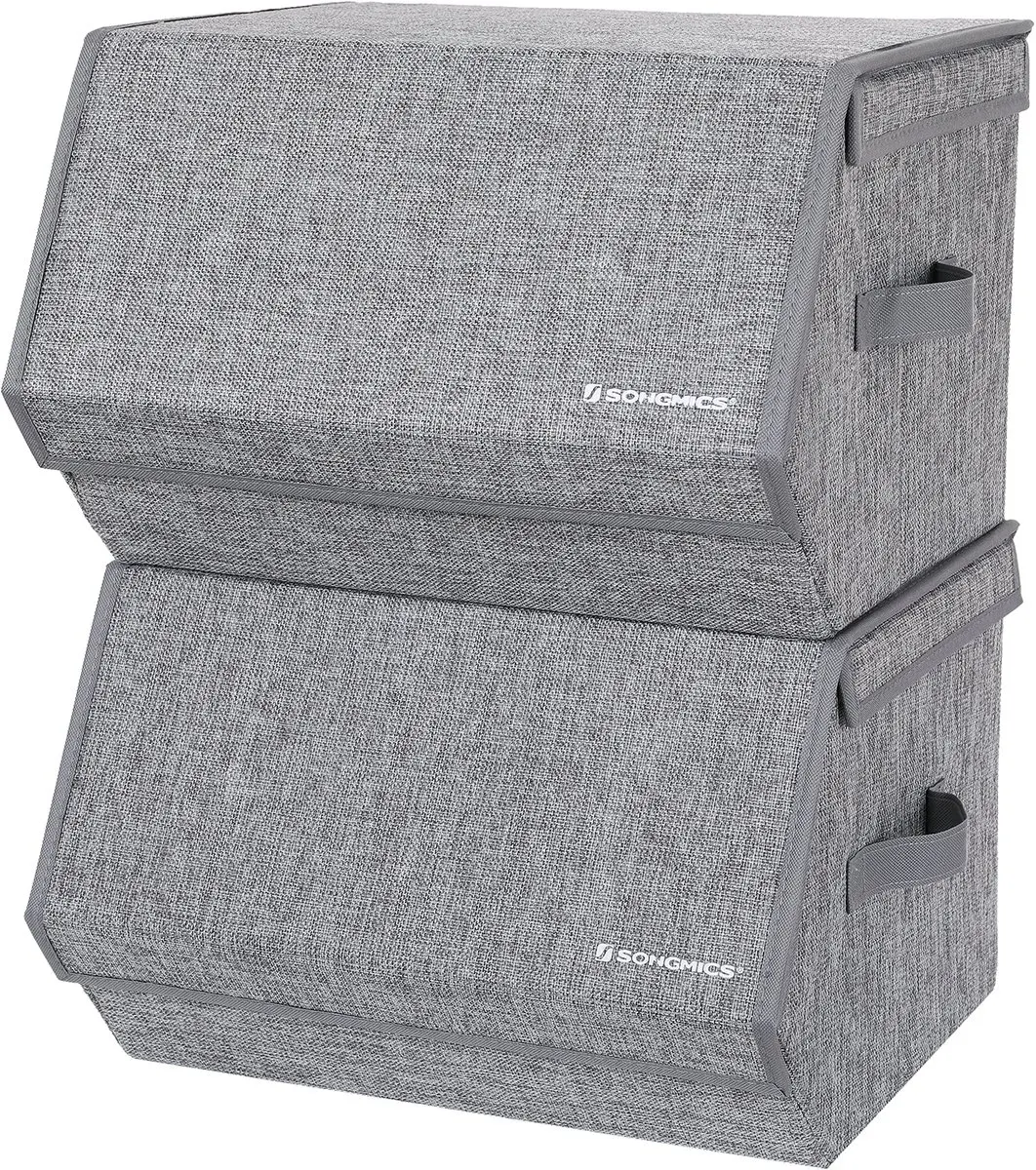 Songmics Opbergbox RLB02GYV1