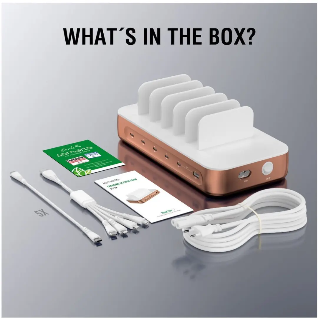 4Smarts Team 100W Laadstation - 5x USB-C 1x USB-A - Brons