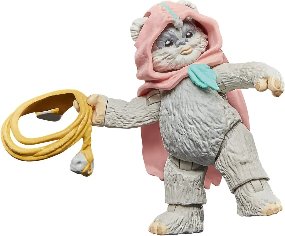 Hasbro Star Wars Ewoks Wicket & Warrick Figuur - 9cm - Multi