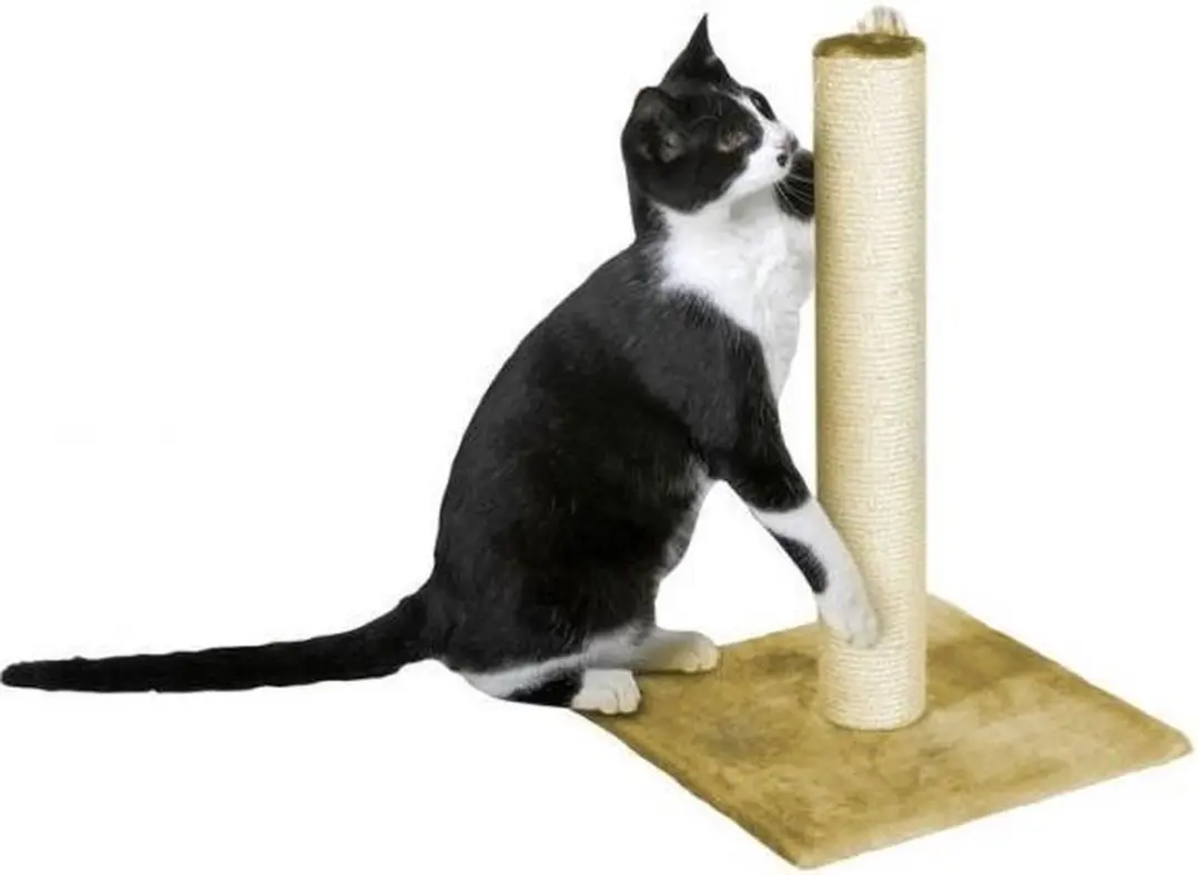 Flamingo Krabpaal Polset Large - Beige