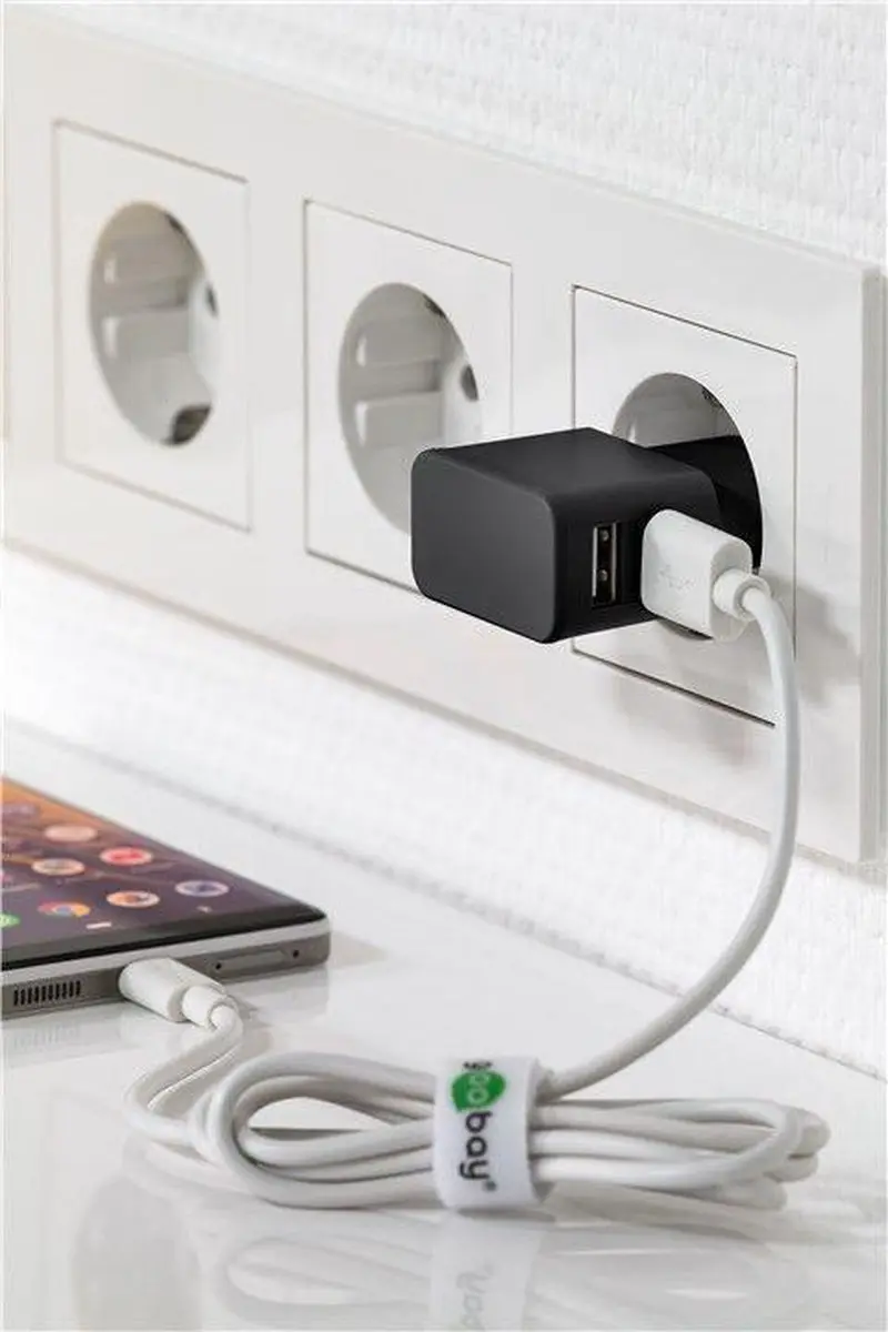 Goobay 44951 USB Thuislader 2 Poorten - 2,4A - Zwart